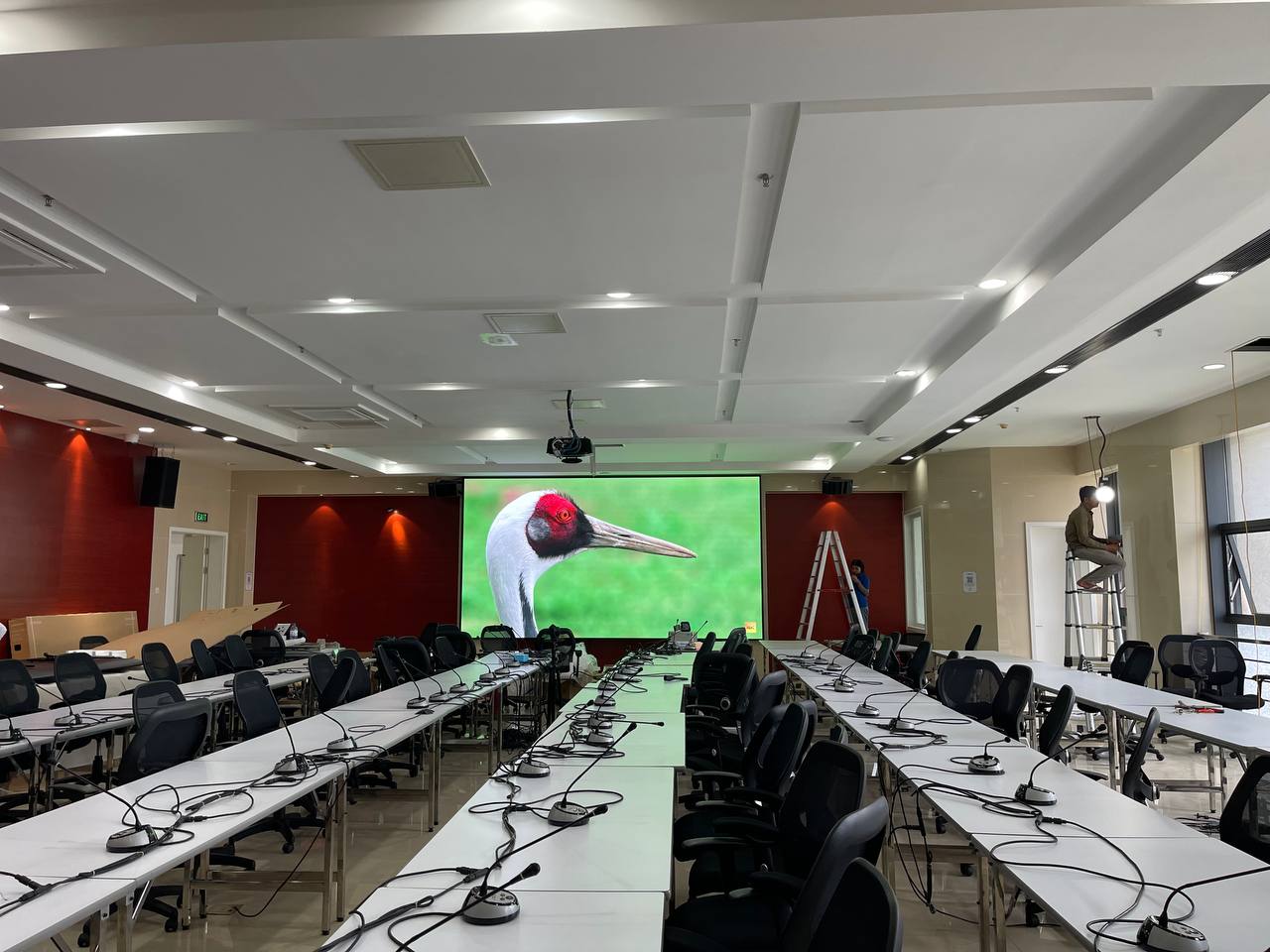 Conference & Sound System